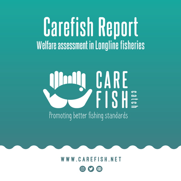 Carefish/catch News image